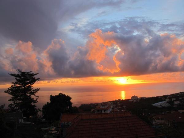 カリェタ Madeira Houseヴィラ 部屋 写真